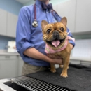 LocalVet Urgent Care - Houston