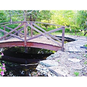 Gallery Image Number 6
