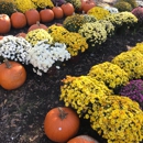 Old Store Produce - Fruit & Vegetable Markets