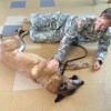 Fidelis Animal Hospital gallery