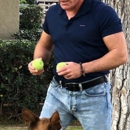 Phoenix Dog Training And Behavior Center - Pet Training