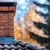 Fresh Chimney Inspection, MD gallery