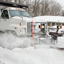 Settle Tree Services - Tree Service