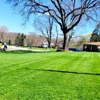 Custom Personalized Lawn Care gallery