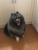 Shampooch - Dog & Cat Clipping & Grooming