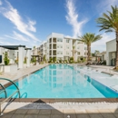 Afton Palms