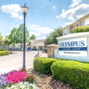 Olympus Stone Glen
