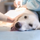 Northside Veterinary Clinic - Veterinary Clinics & Hospitals