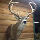 Log Home Taxidermy - Taxidermists