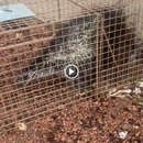 Absolute Pest Management - Pest Control Equipment & Supplies