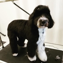 Puddles & Pups - Pet Grooming