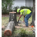 SAS Tree Service - Tree Service