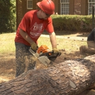 Todd’s Marietta Tree Services