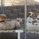 The Dog Biscuit Inn - Kennels