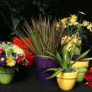 Weston's Flowers - Florists