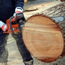 Dave's Tree Service Inc. - Stump Removal & Grinding