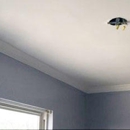 The Patch Boys of North Austin - Ceilings-Supplies, Repair & Installation