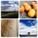Sinkland Farms - Farms