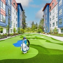 The Woods at Alderwood - Apartments