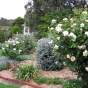 Gallery Image Number 7