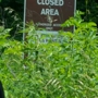 Midewin National Tallgrass Prairie