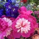 My Garden Over Floweth - Florists