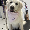 Royal Oak Dog Grooming - Pet Grooming