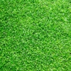 Artificial Grass by Design gallery