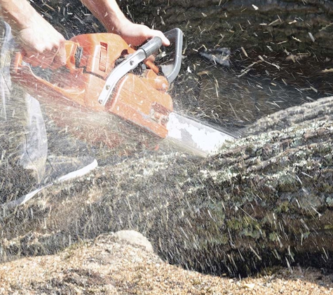 Adelaide Tree Felling Services - Glynde, SA