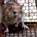 David Jefcoat Pest Control - Pest Control Equipment & Supplies