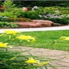 Trans Plant Landscaping gallery