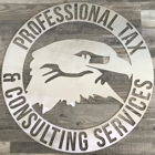 Professional Tax & Consulting Services