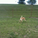 Red Oaks Dog Park - Places Of Interest