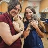 VCA Laguna Niguel Animal Hospital gallery
