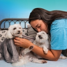 Pet Paradise Wilmington