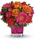 Hohman Floral - Flowers, Plants & Trees-Silk, Dried, Etc.-Retail