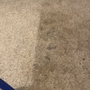 San Marcos Carpet Cleaning