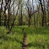 Fort Defiance State Park gallery