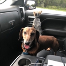 Country Oaks Animal Hospital - Veterinary Clinics & Hospitals