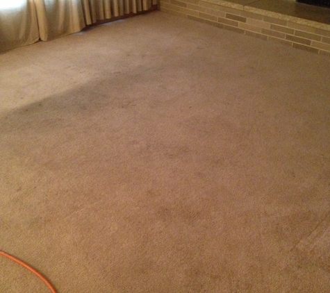 Professional Carpet & Upholstery Cleaning, Inc.