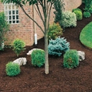 Earth Leveling Service