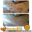 Citrusolution Carpet Cleaning Of Orlando - Carpet & Rug Cleaners