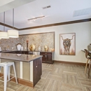 Reveal on Cumberland Apartments - Apartments