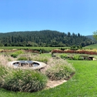 Goldeneye Winery