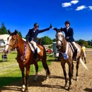 Swan Training - Horse Boarding