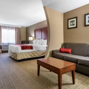 Comfort Inn & Suites Leeds I-20 - Motels