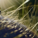 Cridders Exterminating - Pest Control Equipment & Supplies