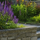 Royal Turf Landscape and Irrigation - Lawn Maintenance