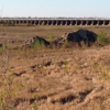 US Bonne Carre Spillway gallery