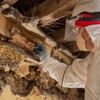 Guardian Pest Control gallery